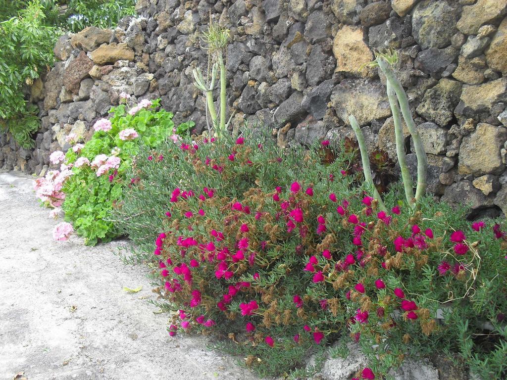 Casa Rural Abuelo Pancho Las Casas  Buitenkant foto